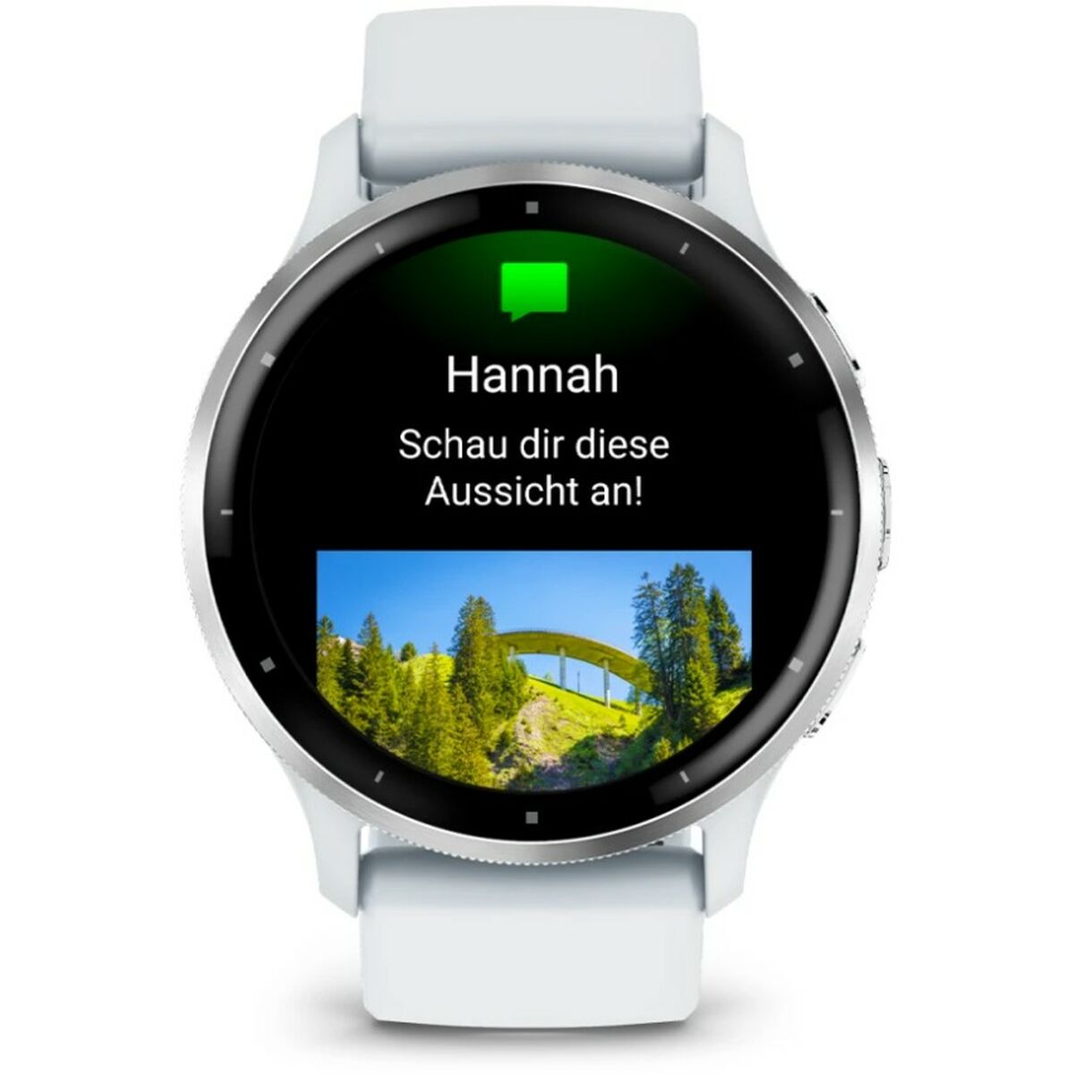 Smartwatch GARMIN Wit